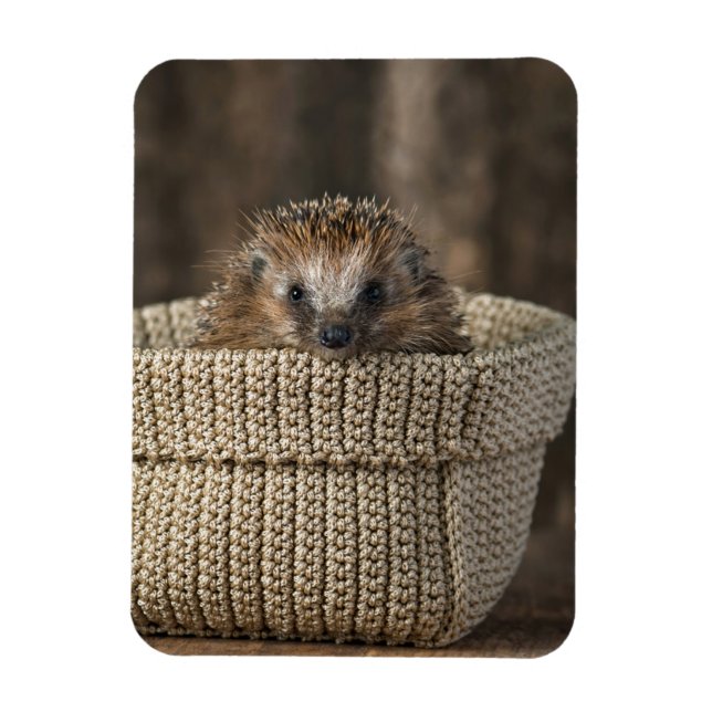 Magnet Flexible Cutest Baby Animals | Hedgehog in a Basket (Vertical)