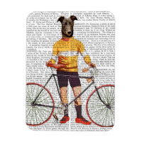 Cycliste Greyhound