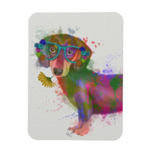 Magnet Flexible Dachshund & Lunettes Rainbow Splash