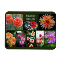 Dahlia Fleurs Huit Photo Collage personnel