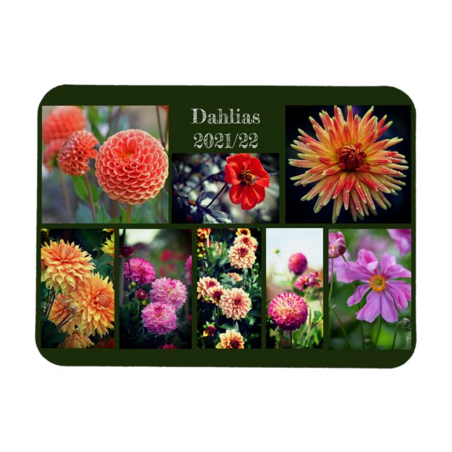 Magnet Flexible Dahlia Fleurs Huit Photo Collage personnel (Horizontal)