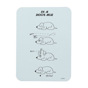Magnet Flexible Dans l'âge d'un chien