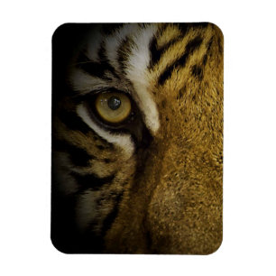 Magnet Flexible Dans l'oeil d'un tigre