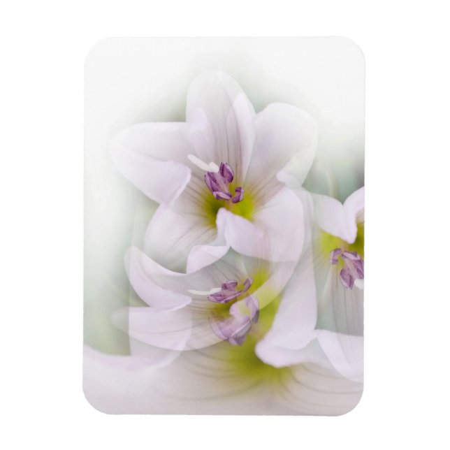 Magnet Flexible danse des fleurs (Vertical)