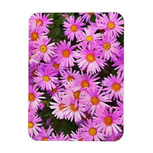 MAGNET FLEXIBLE DATES