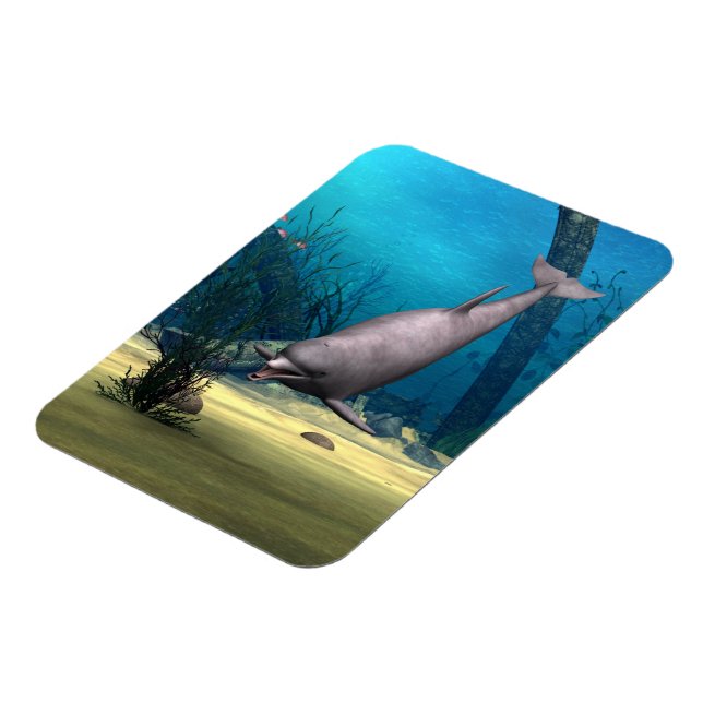 Magnet Flexible Dauphin (Côté Gauche)