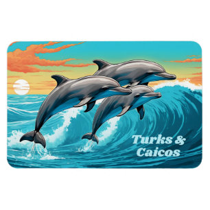 Magnet Flexible Dauphin de Turc et Caicos