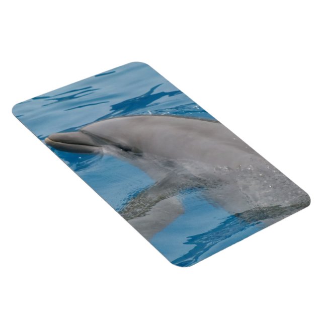Magnet Flexible Dauphin glissant dans de l'eau bleu vif (Côté Droit)