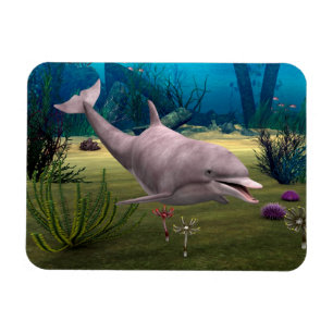 Magnet Flexible Dauphin souriant