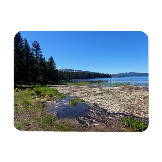 Magnet Flexible Davis lake (Horizontal)