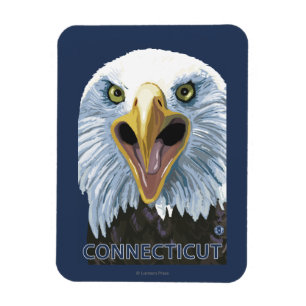 Magnet Flexible De ConnecticutEagle fin