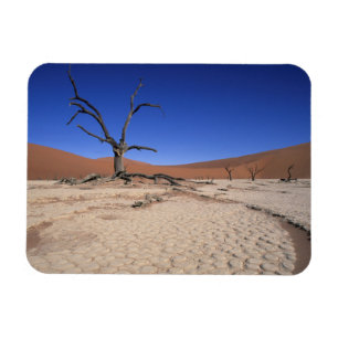 Magnet Flexible Dead Vlei, Sossusvlei, Parc national de Namib-Nauk