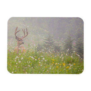 Magnet Flexible Deer Buck Parc national du Mont Rainier