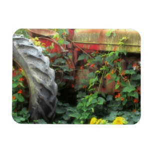 Magnet Flexible Des fleurs printanières ornent un vieux tracteur.