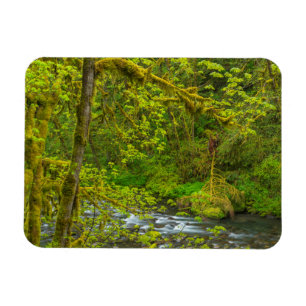 Magnet Flexible Des rochers et des arbres moussus bordent Eagle Cr