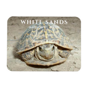 Magnet Flexible Desert Box Turtle White Sands National Park