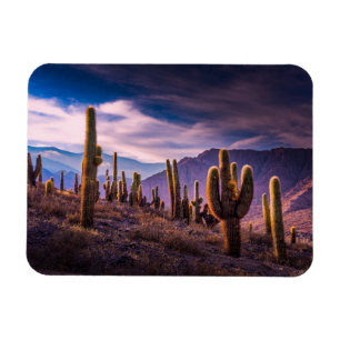 Magnet Flexible Deserts   Cactus Landscape Argentina
