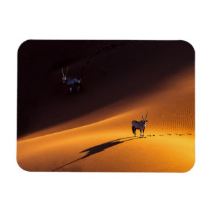 Magnet Flexible Deserts   Namib Naukluft National Park Kenya