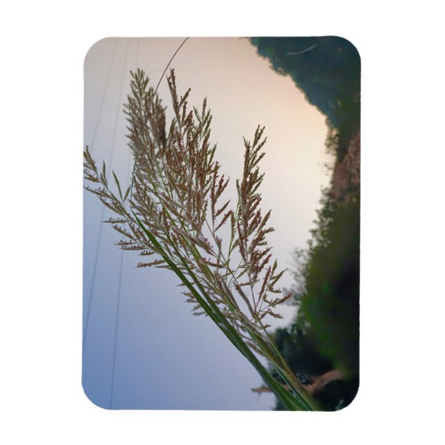 Magnet Flexible Design naturel (Vertical)