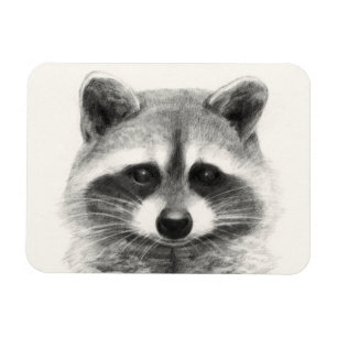Magnet Flexible Dessin au crayon Raccoon