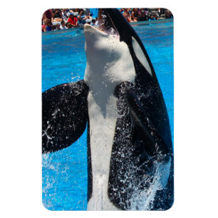 Magnet Flexible Destin de nature d'amour de paix de l'eau de balei
