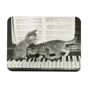 Magnet Flexible Deux chaton jouant sur le clavier du piano, (B&W)