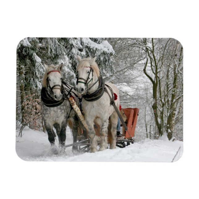 Magnet Flexible Deux Chevaux traînés Open Sleigh sur Snowy Path à  (Horizontal)