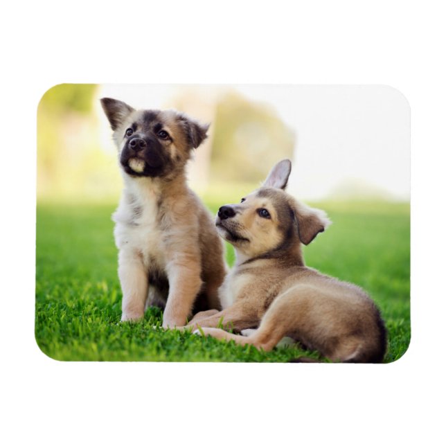 Magnet Flexible Deux German Shepherd (Horizontal)