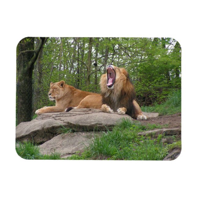 Magnet Flexible Deux Lions (Horizontal)