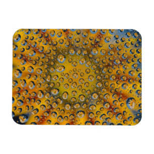 Magnet Flexible Dew Drop, reflet floral, Crescent City,