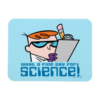 Magnet Flexible Dexter