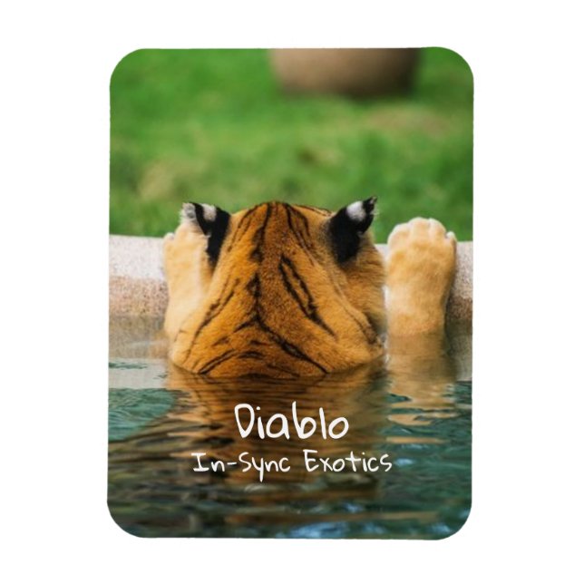 Magnet Flexible Diablo - (Vertical)