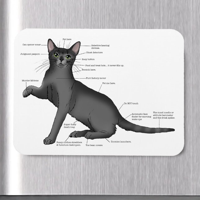 Magnet Flexible Diagramme d'anatomie de chat drôle humour nerd (Créateur téléchargé)