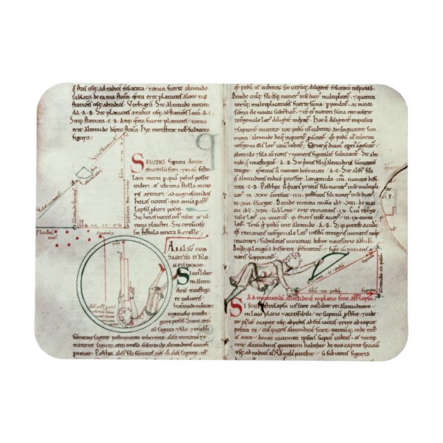 Magnet Flexible Diagrammes des mesures et du texte (vellum) (Horizontal)