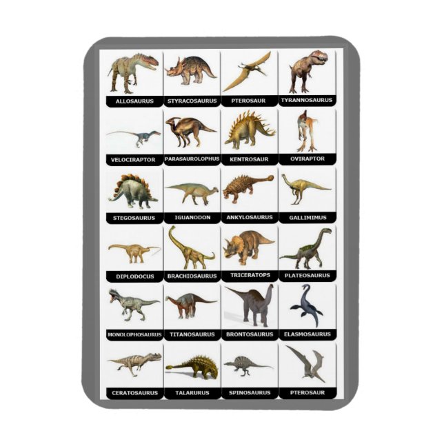 Magnet Flexible Dinosaures - Magnat graphique (Vertical)