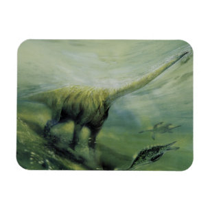 Magnet Flexible Dinosaures vintages, Brachiosaurus Nager dans l'oc