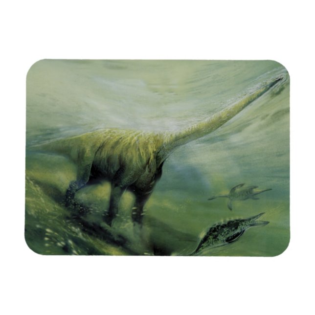 Magnet Flexible Dinosaures vintages, Brachiosaurus Nager dans l'oc (Horizontal)