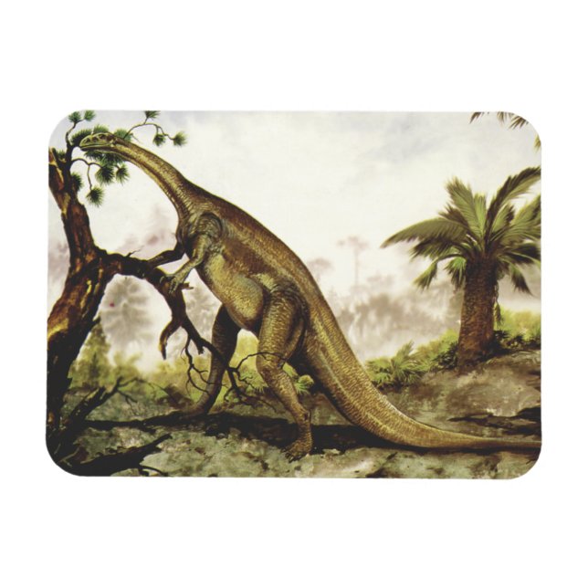Magnet Flexible Dinosaures vintages, Plateosaure Pâturage sur les  (Horizontal)