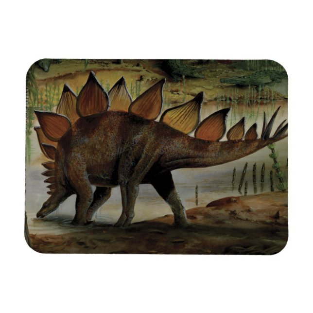 Magnet Flexible Dinosaures vintages, Stegosaurus, Queue avec Spike (Horizontal)