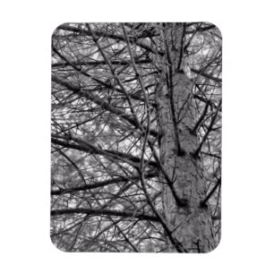 Magnet Flexible Direction des branches d'arbre à pin en noir et bl