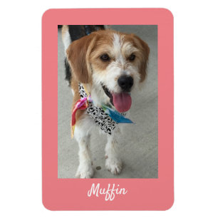 Magnet Flexible do-it-yourself photo pour animaux de compagnie ou