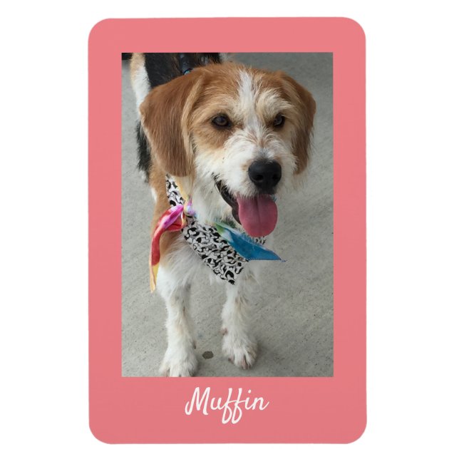 Magnet Flexible do-it-yourself photo pour animaux de compagnie ou  (Vertical)