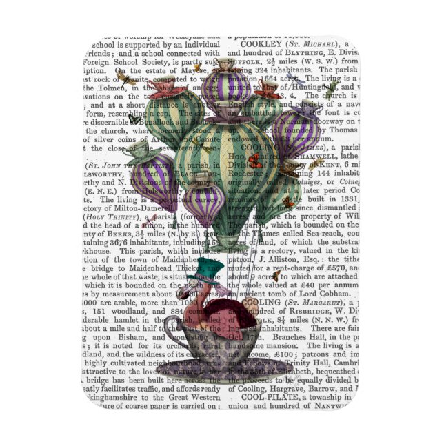 Magnet Flexible Dodo en Teacup avec libellules (Vertical)