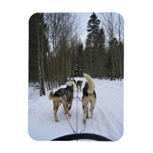 Magnet Flexible Dog Sledding à Québec, Canada