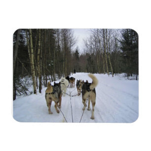 Magnet Flexible Dog Sledding à Québec, Canada