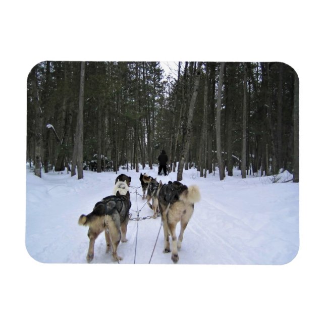 Magnet Flexible Dog Sledding à Québec, Canada (Horizontal)