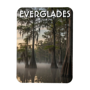 Magnet Flexible Dôme de cyprès Everglades Parc national Floride