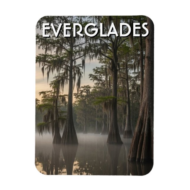 Magnet Flexible Dôme de cyprès Everglades Parc national Floride (Vertical)