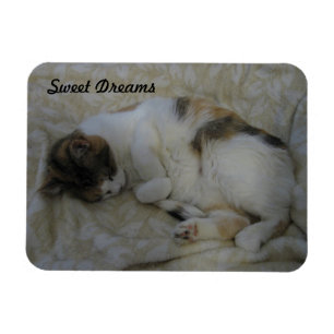 Magnet Flexible Dormir Chat Sweet Dreams