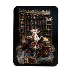 Magnet Flexible Dragon 3" de bibliothèque de DM x 4" aimant de